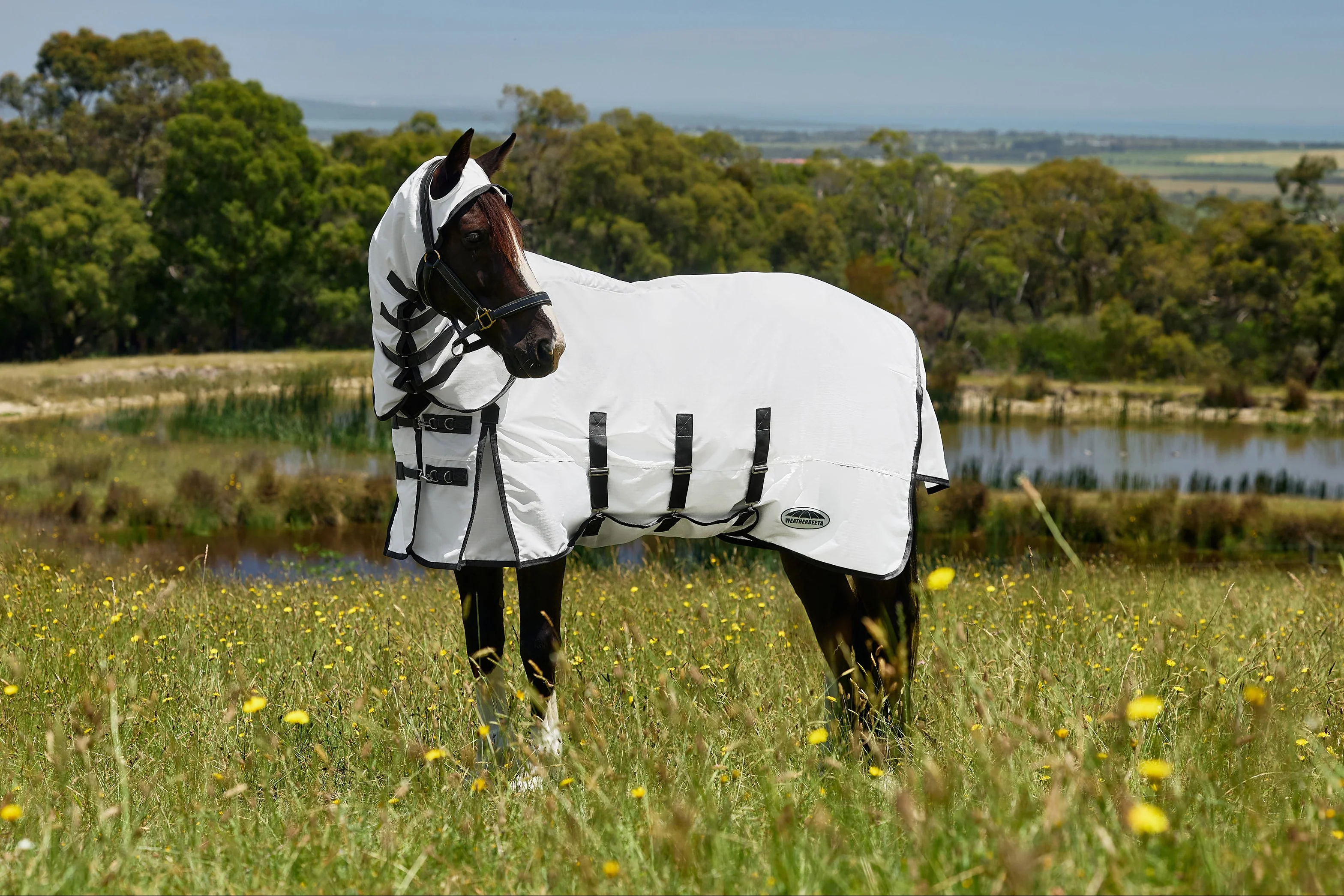 Weatherbeeta Comfitec Sweet Itch Shield Fly Sheet Combo White/Charcoal
