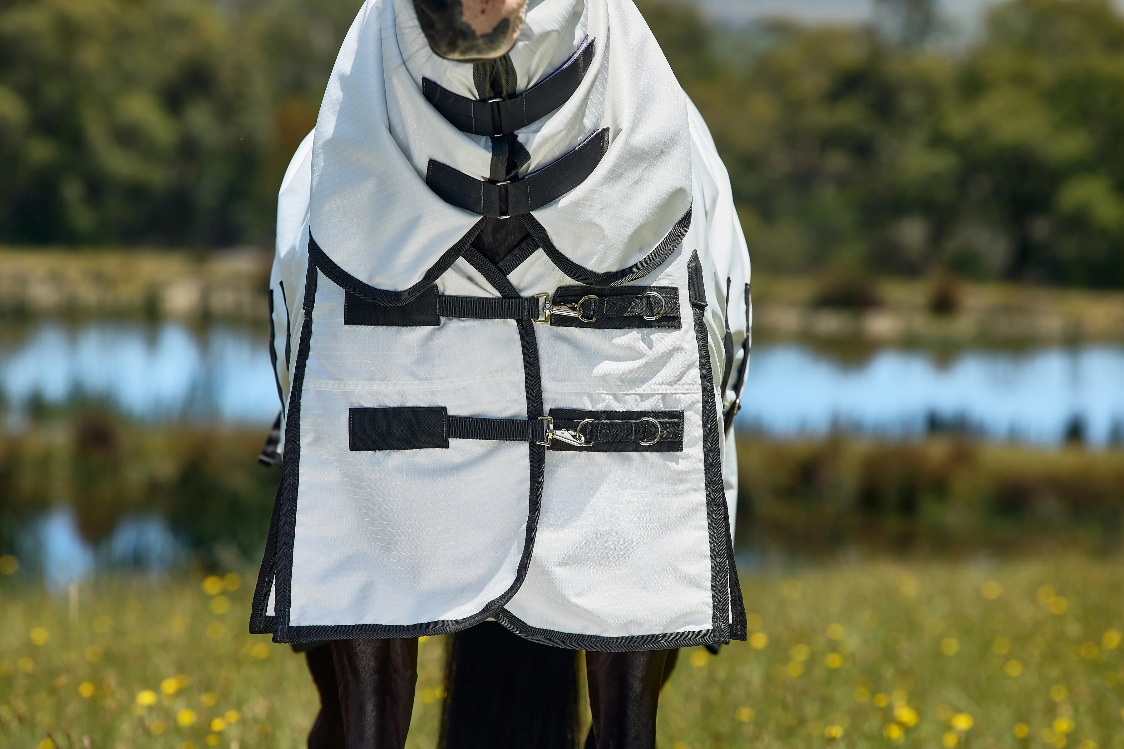 Weatherbeeta Comfitec Sweet Itch Shield Fly Sheet Combo White/Charcoal - Image 2