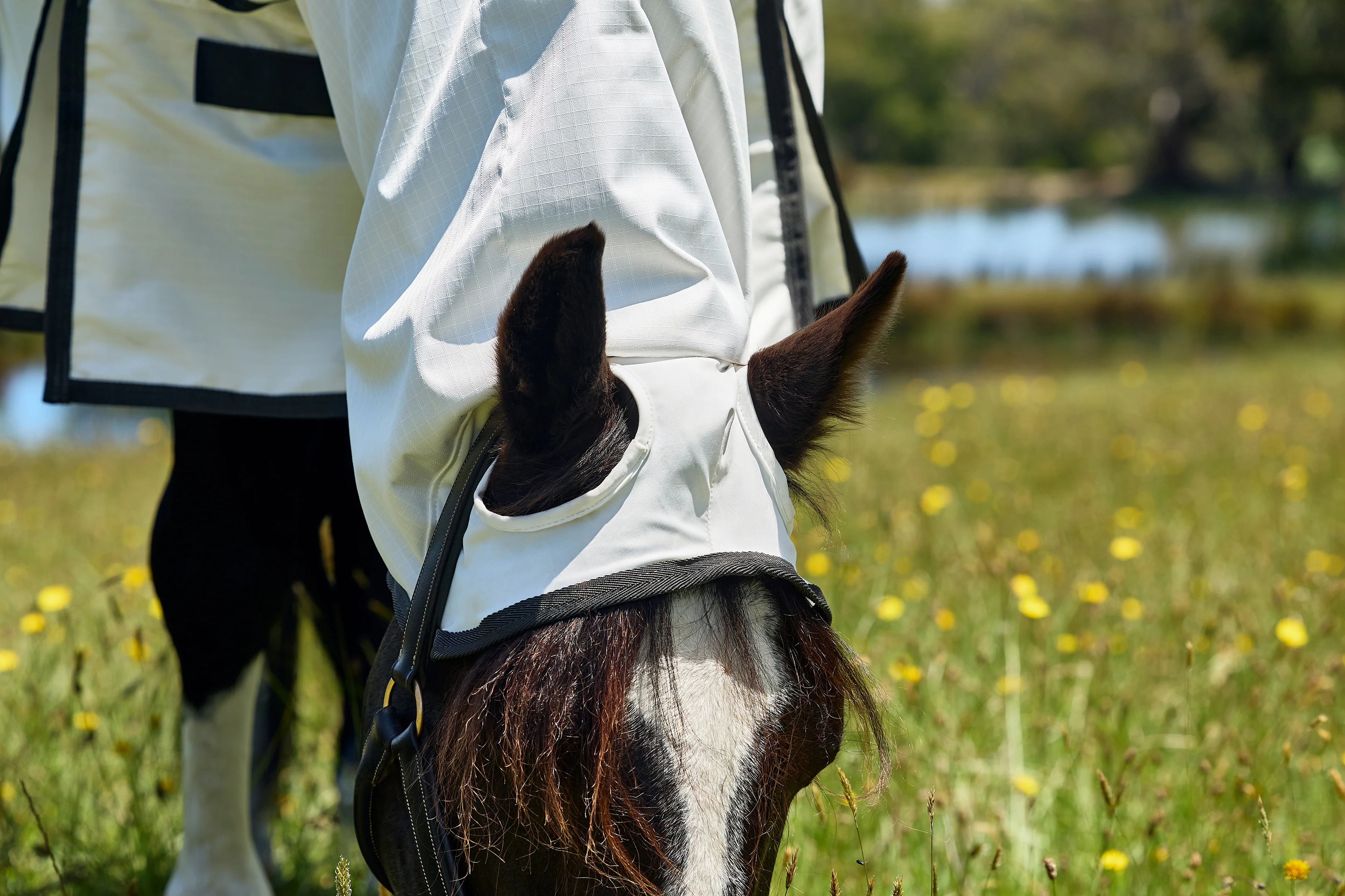 Weatherbeeta Comfitec Sweet Itch Shield Fly Sheet Combo White/Charcoal - Image 7