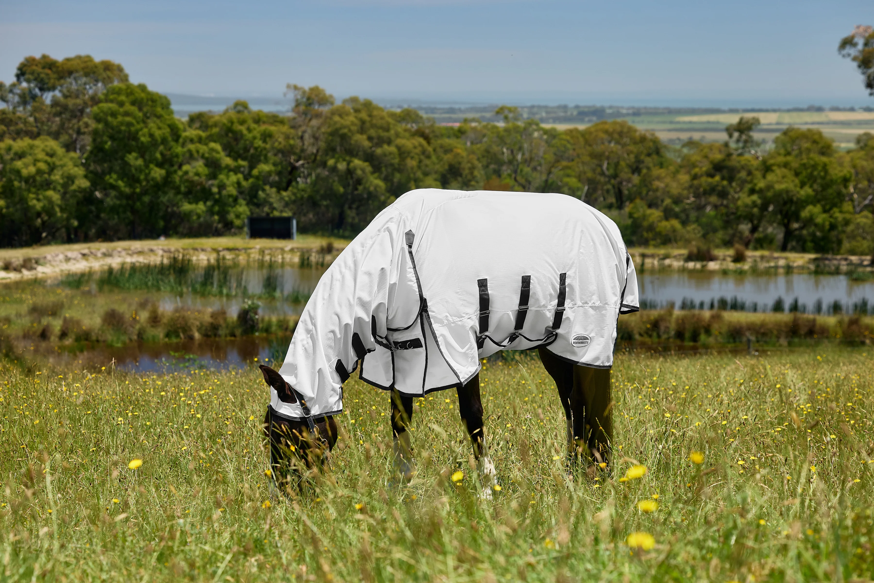 Weatherbeeta Comfitec Sweet Itch Shield Fly Sheet Combo White/Charcoal - Image 8