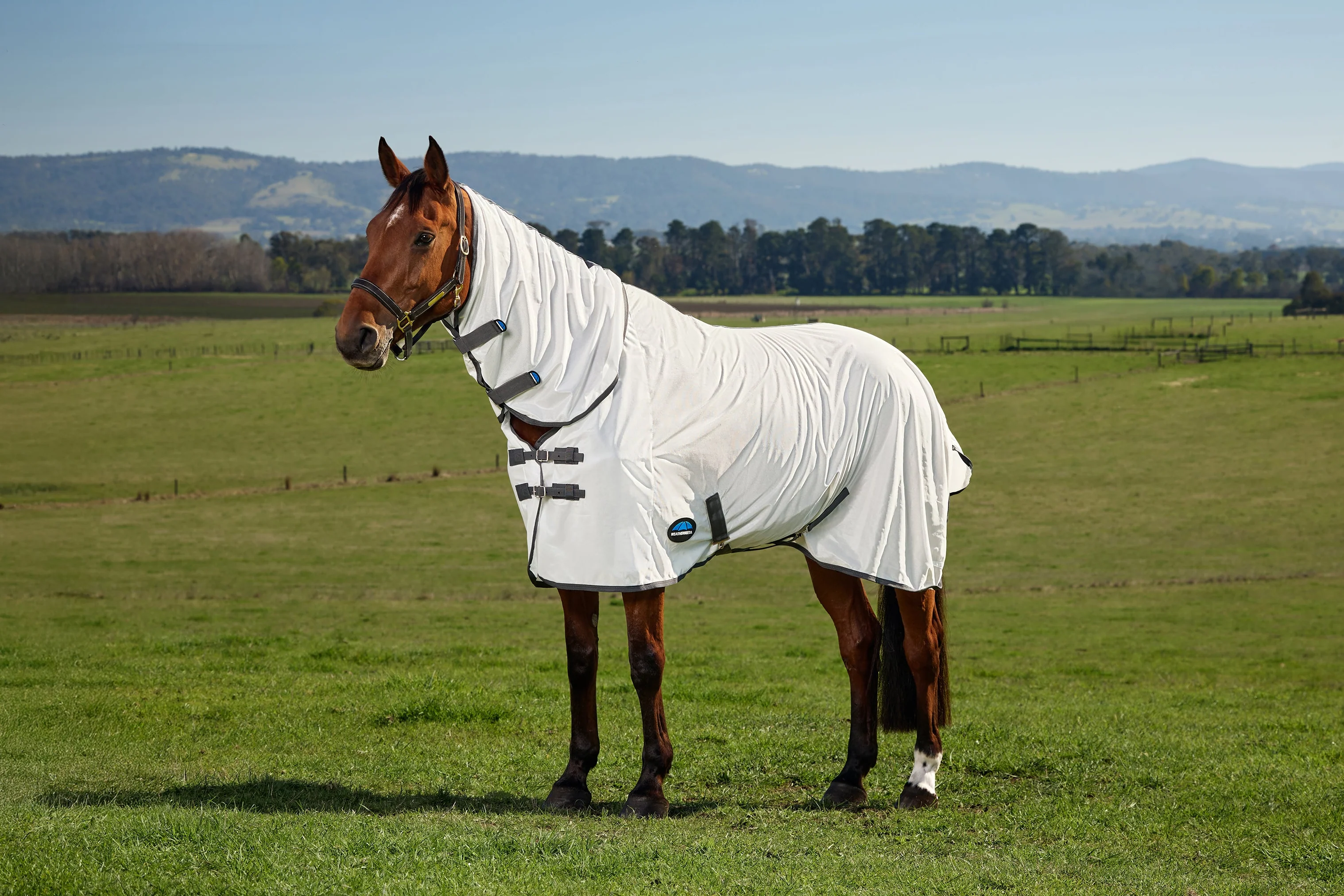 Weatherbeeta Comfitec Tyro Fly Sheet Combo White/Charcoal