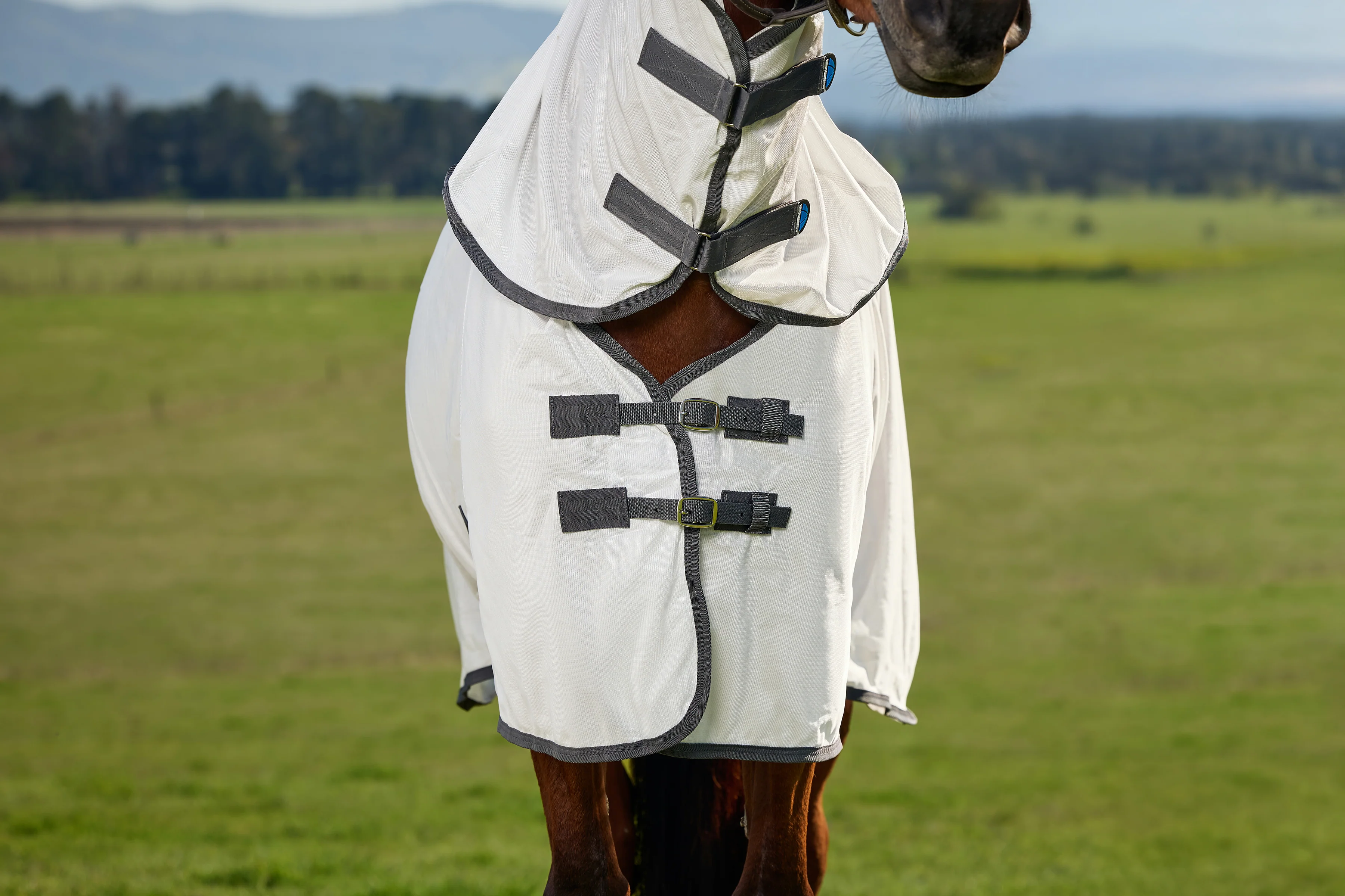 Weatherbeeta Comfitec Tyro Fly Sheet Combo White/Charcoal - Image 2