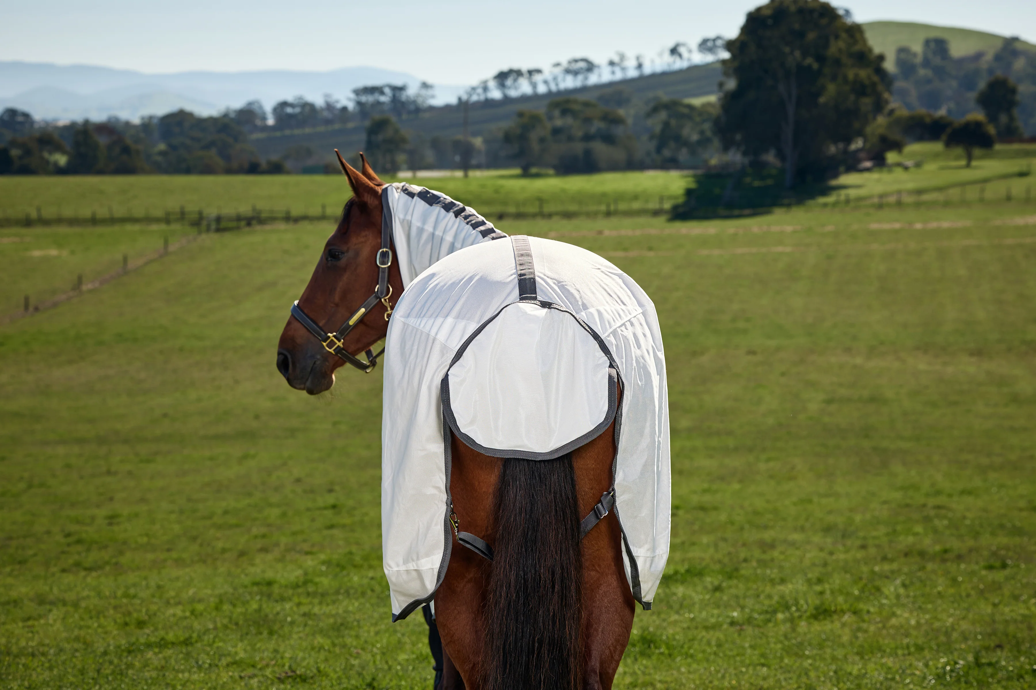 Weatherbeeta Comfitec Tyro Fly Sheet Combo White/Charcoal - Image 3