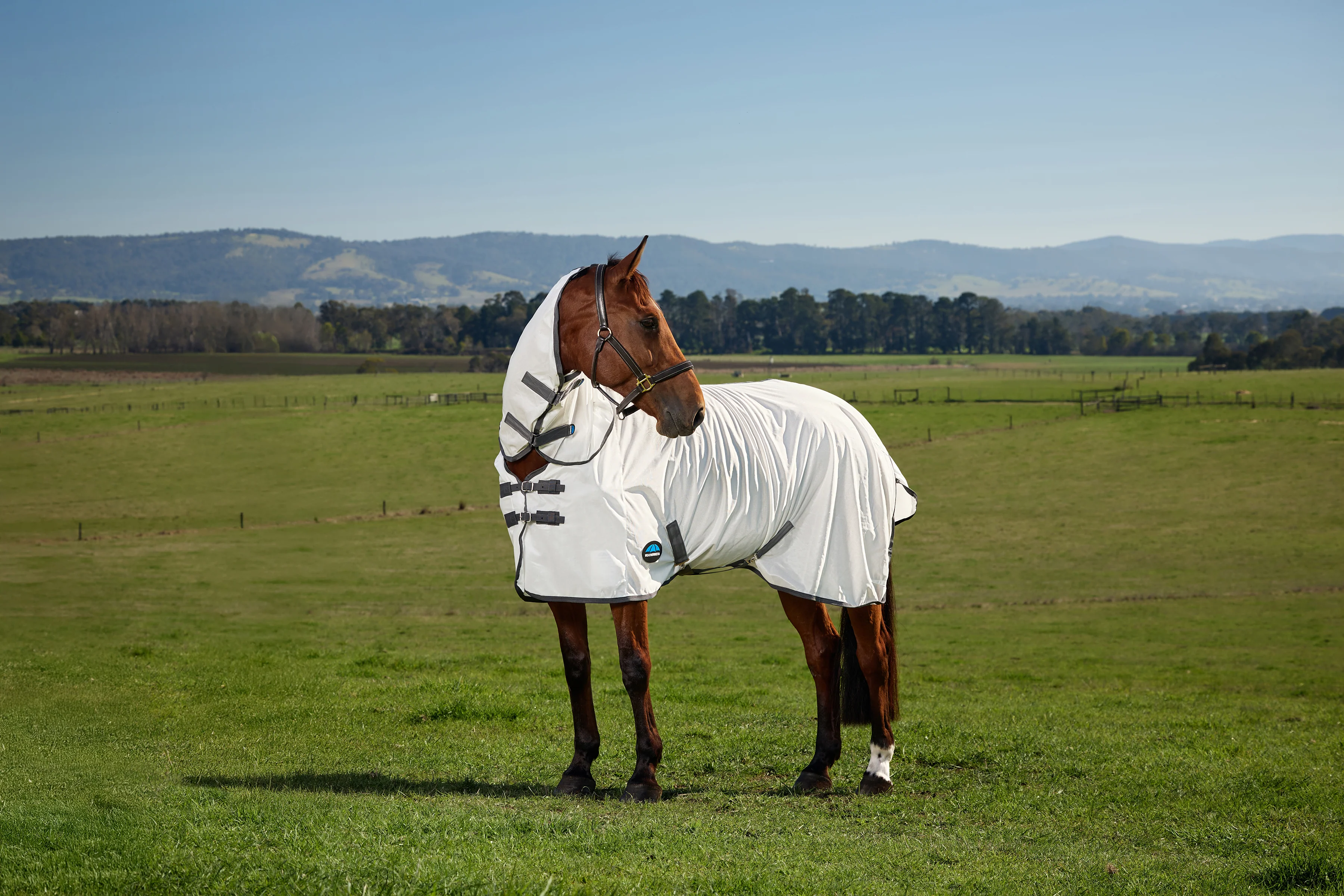 Weatherbeeta Comfitec Tyro Fly Sheet Combo White/Charcoal - Image 4