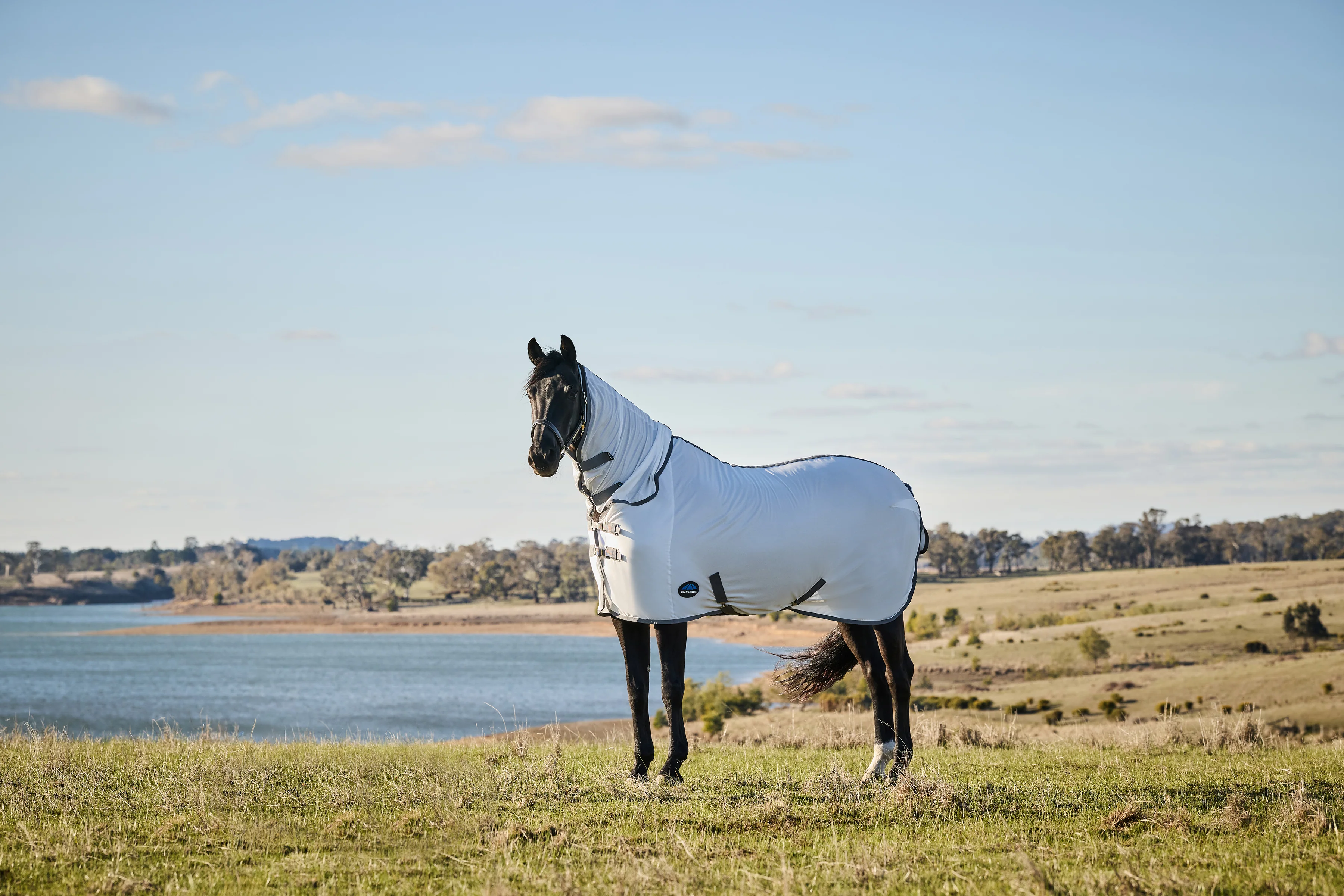 Weatherbeeta Comfitec Tyro Fly Sheet Combo White/Charcoal - Image 5