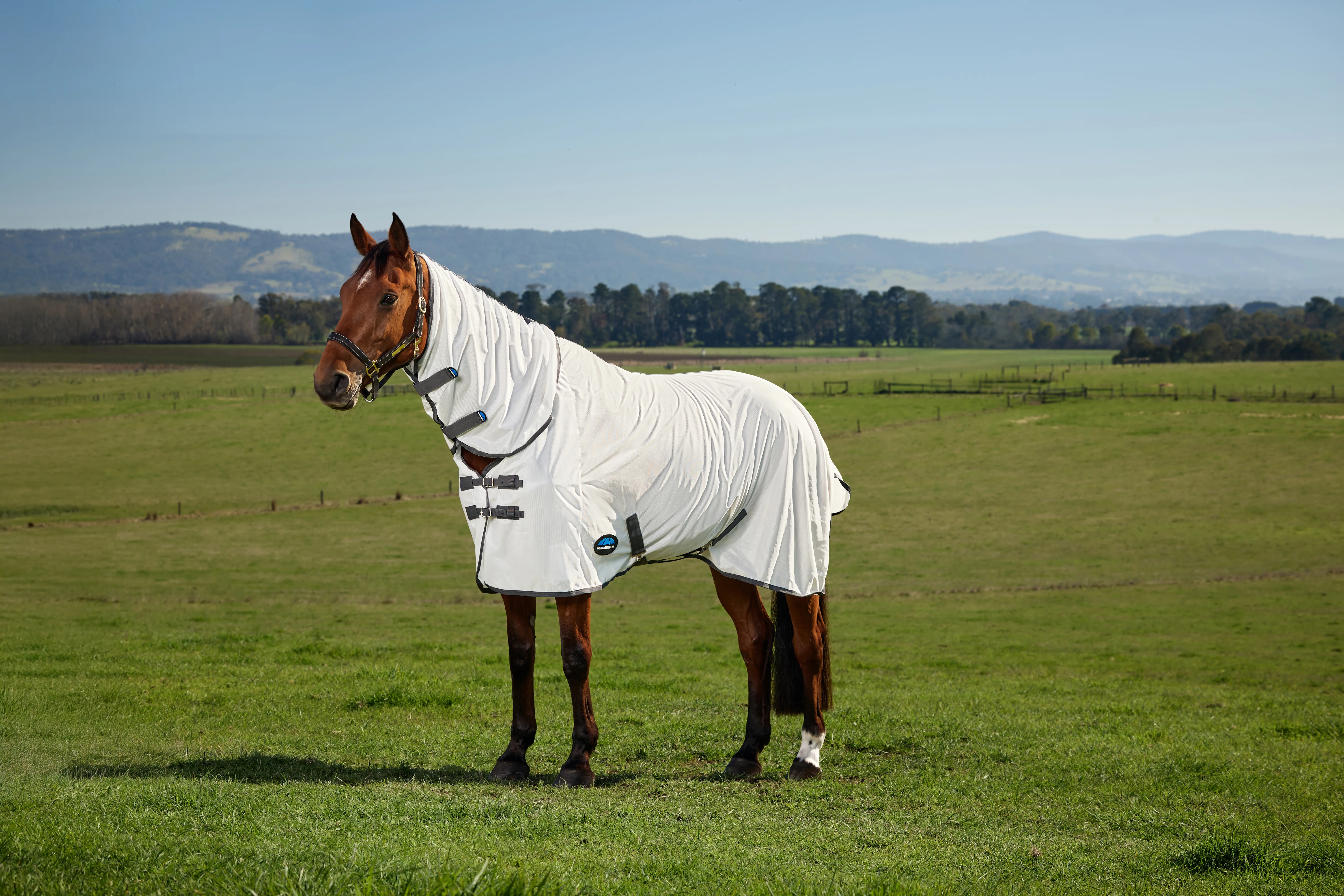 Weatherbeeta Comfitec Tyro Fly Sheet Combo White/Charcoal - Image 8