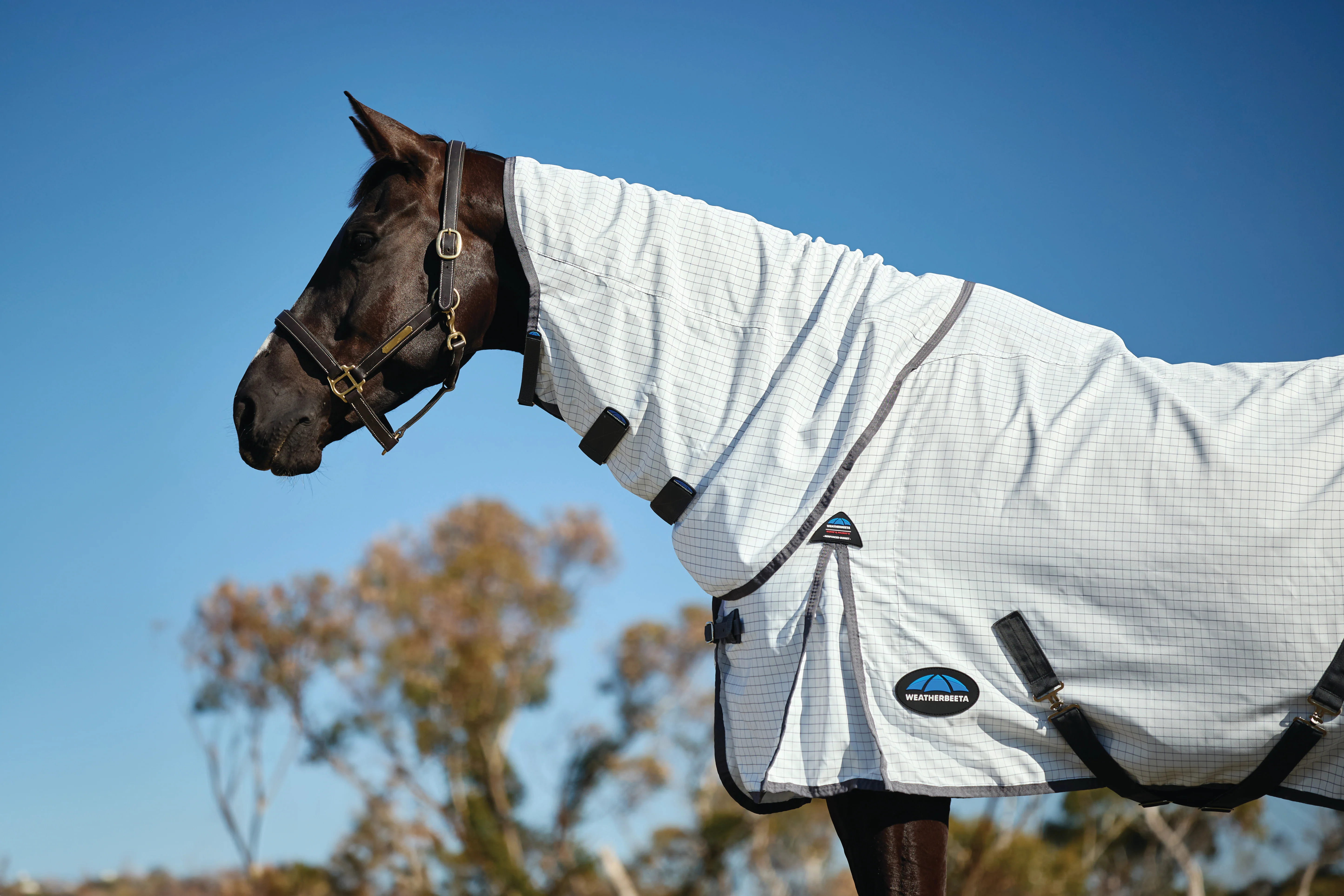Weatherbeeta Hybrid Sheet Combo White/Charcoal - Image 3