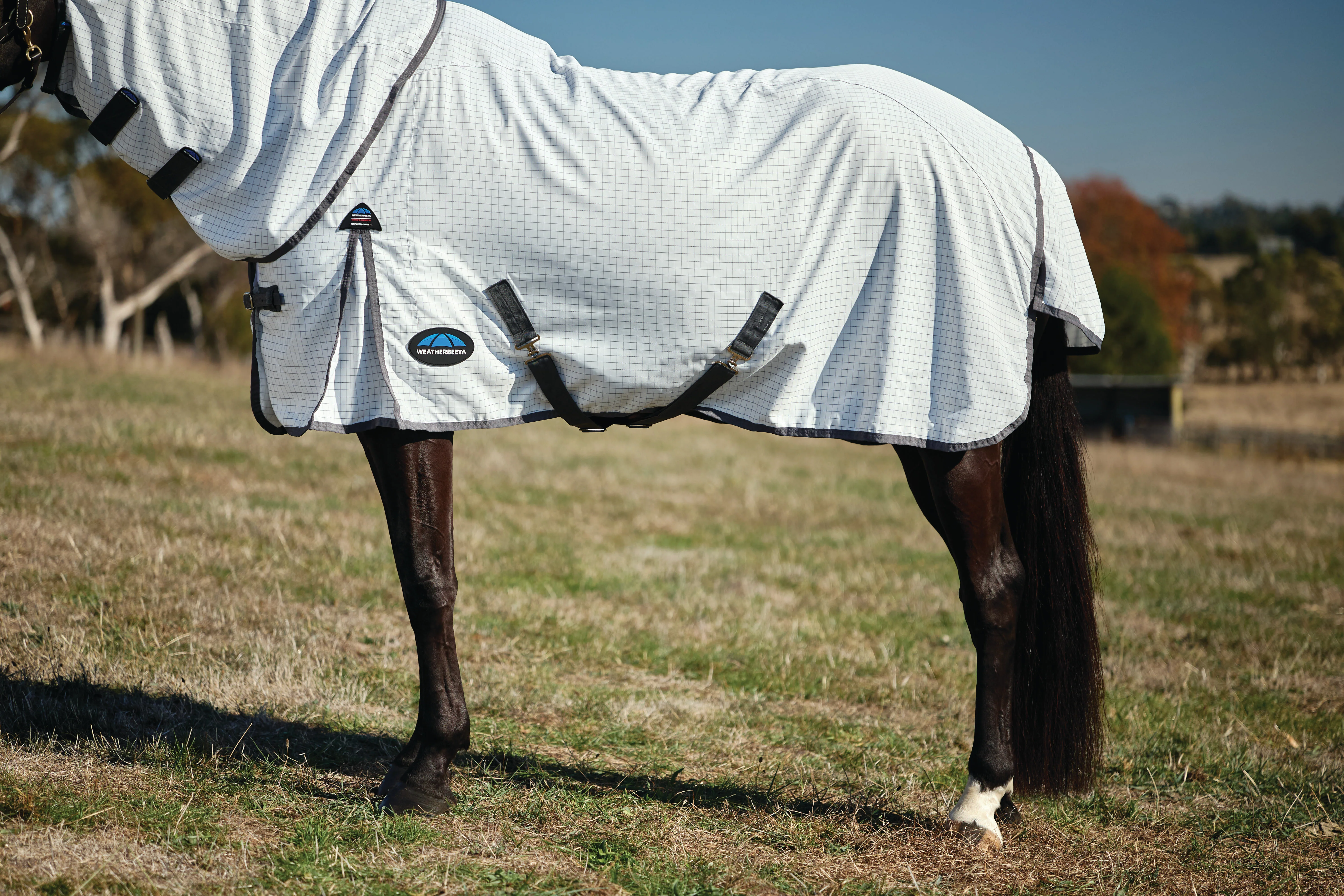 Weatherbeeta Hybrid Sheet Combo White/Charcoal - Image 7