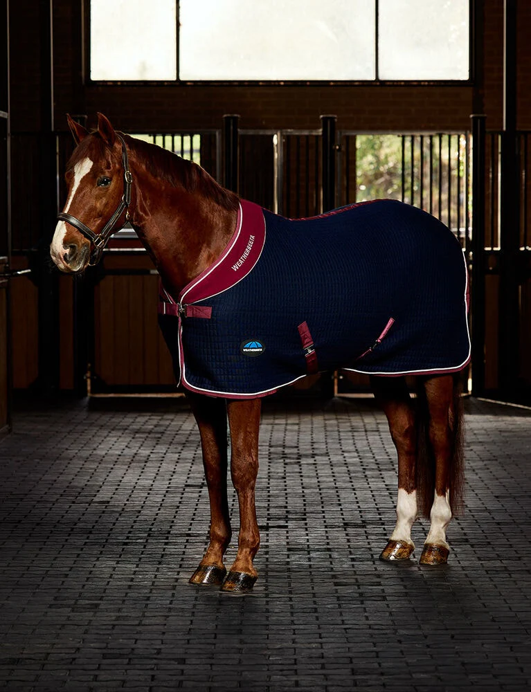 Weatherbeeta Thermocell Cooler Standard Neck Navy / Burgundy
