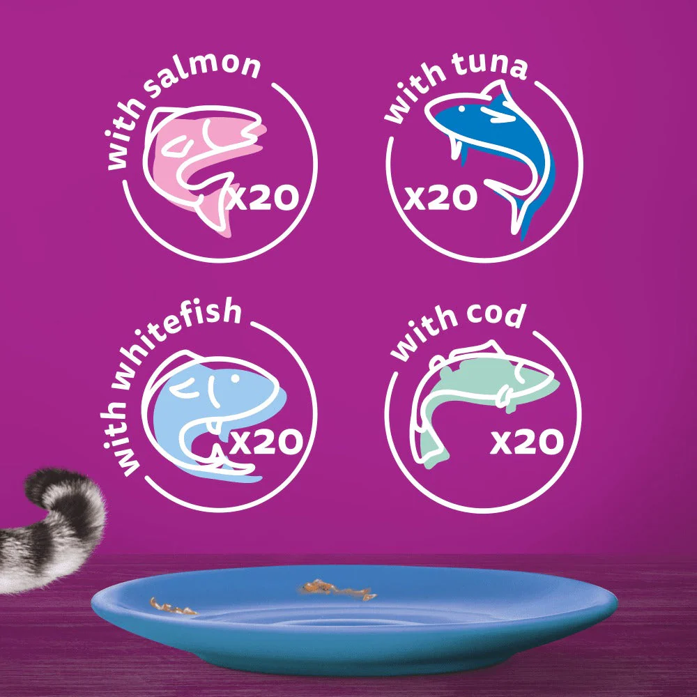 Whiskas 1+ Fish Favourites in Jelly Adult Wet Cat Food Pouches 80x85g - Image 2