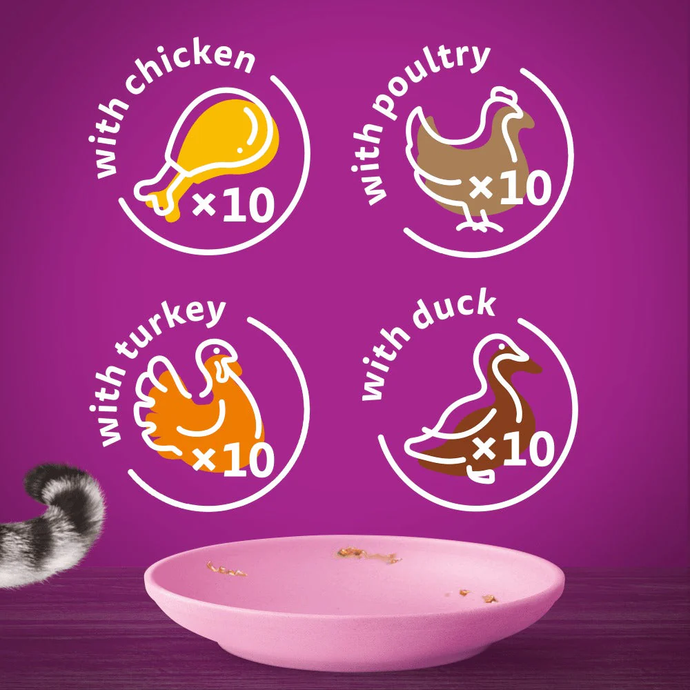 Whiskas 2-12 Months Kitten Poultry Feasts In Jelly Wet Cat Food Pouches 40x85g - Image 3