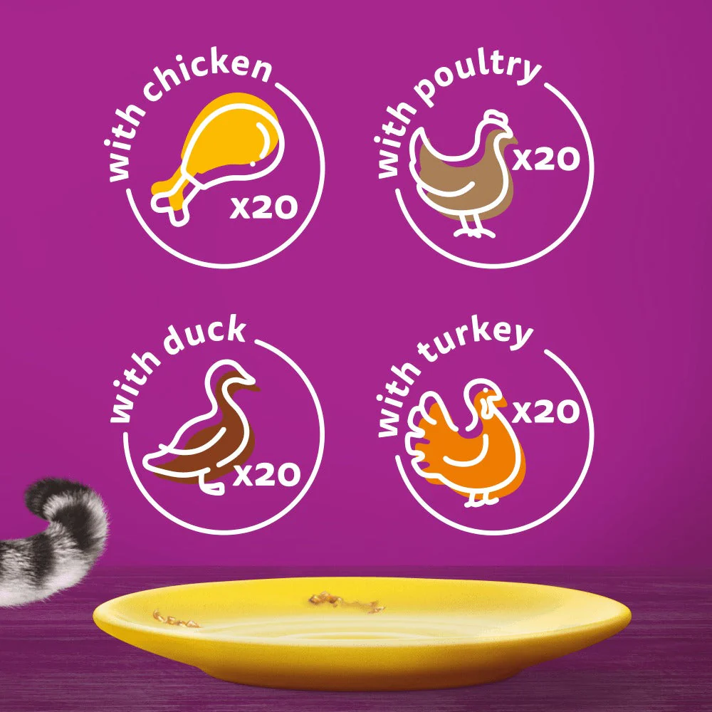 Whiskas 7+ Poultry Feasts in Jelly Senior Wet Cat Food Pouches 80x85g - Image 2