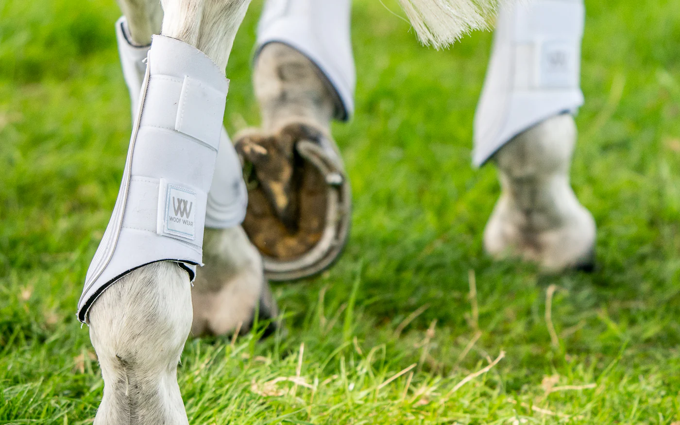 Woof Wear Double Lock Brushing Boot - Image 3