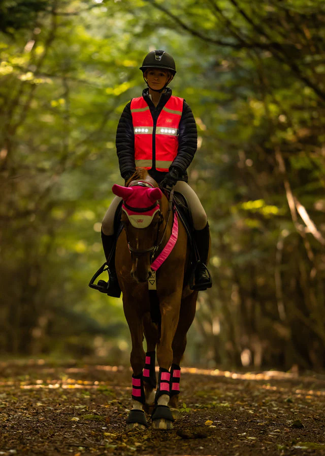 Woof Wear LED Hi Vis Riding Vest - Image 12