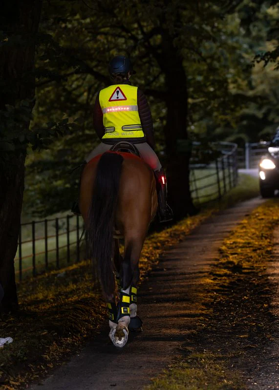 Woof Wear LED Hi Vis Riding Vest - Image 5