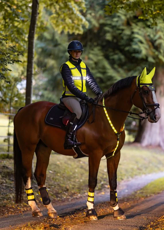 Woof Wear LED Hi Vis Riding Vest - Image 6