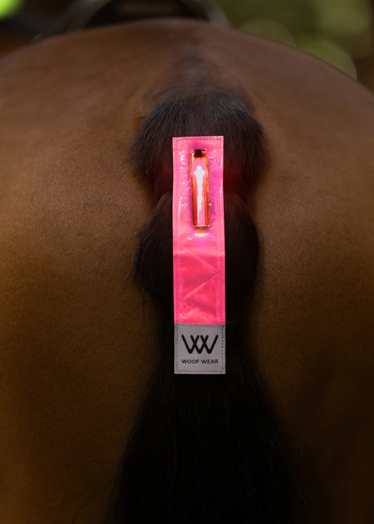Woof Wear LED Hi Vis Tail Light - Image 3