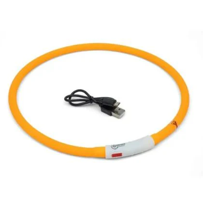Zoon Flash & Go Rechargeable 'See Dog' Ring M/L - Image 2